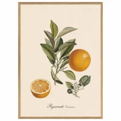 The Dybdahl Co. Déco Murale, Papier Peint*Affiche Bigarrade Couronnée
