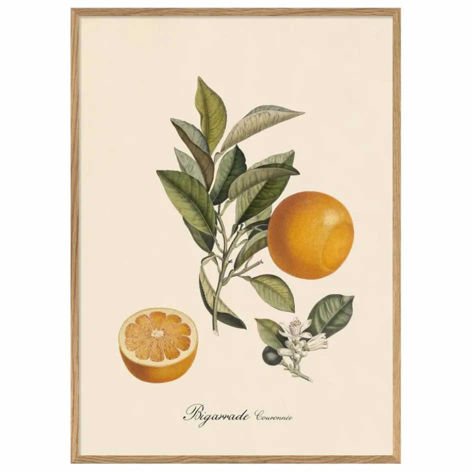 The Dybdahl Co. Déco Murale, Papier Peint*Affiche Bigarrade Couronnée