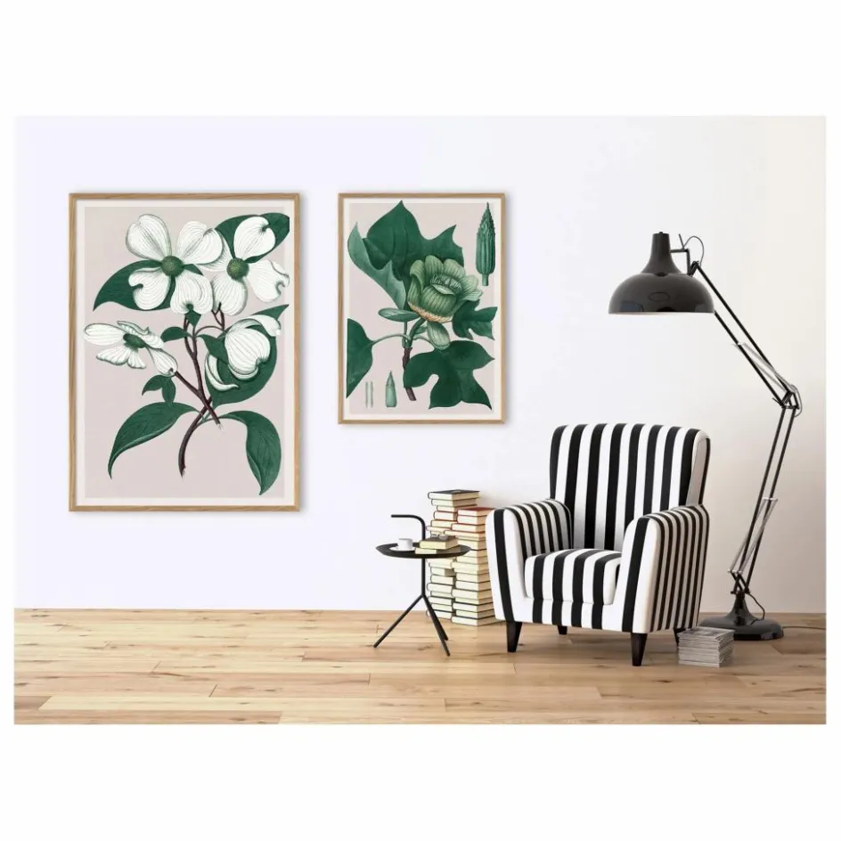 The Dybdahl Co. Affiche Cornus Florida| Déco Murale, Papier Peint