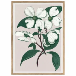The Dybdahl Co. Affiche Cornus Florida| Déco Murale, Papier Peint