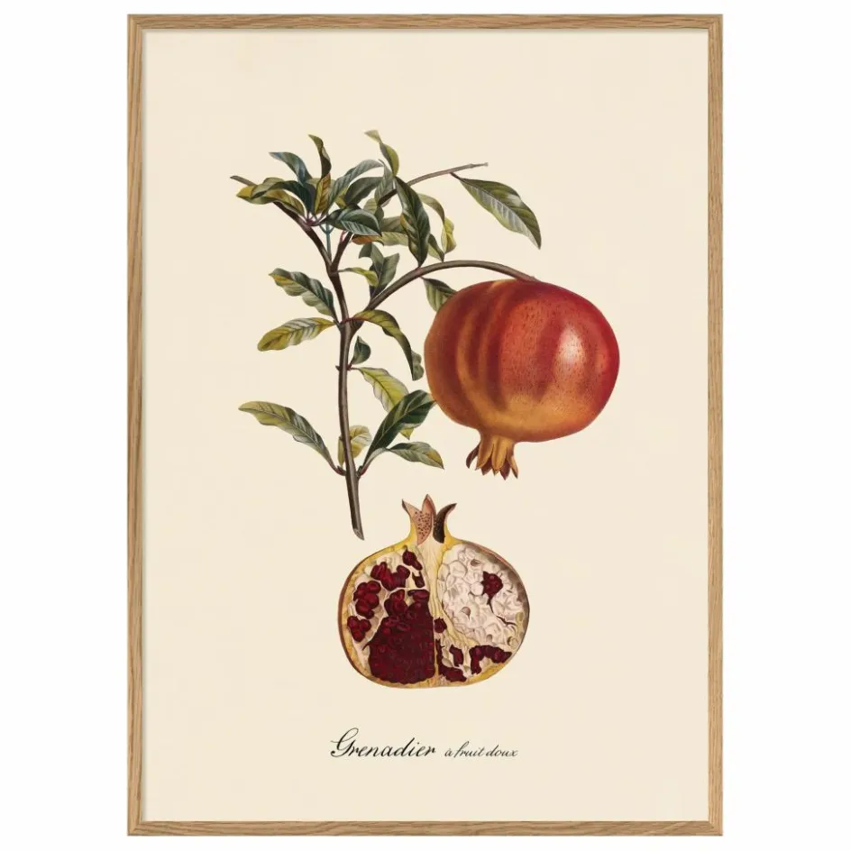 The Dybdahl Co. Déco Murale, Papier Peint*Affiche Grenadier à Fruit Doux
