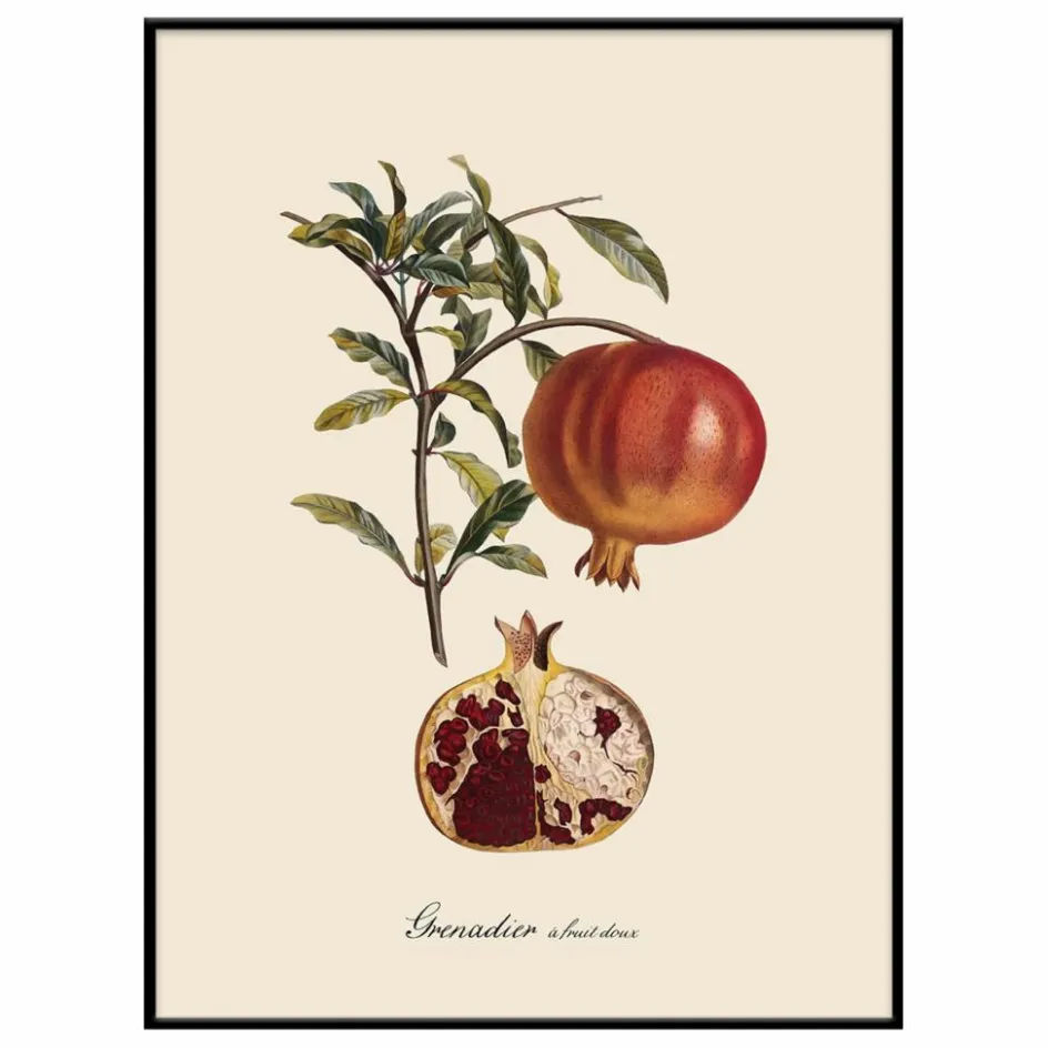The Dybdahl Co. Déco Murale, Papier Peint*Affiche Grenadier à Fruit Doux