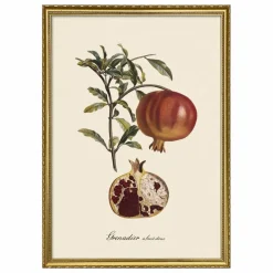 The Dybdahl Co. Déco Murale, Papier Peint*Affiche Grenadier à Fruit Doux