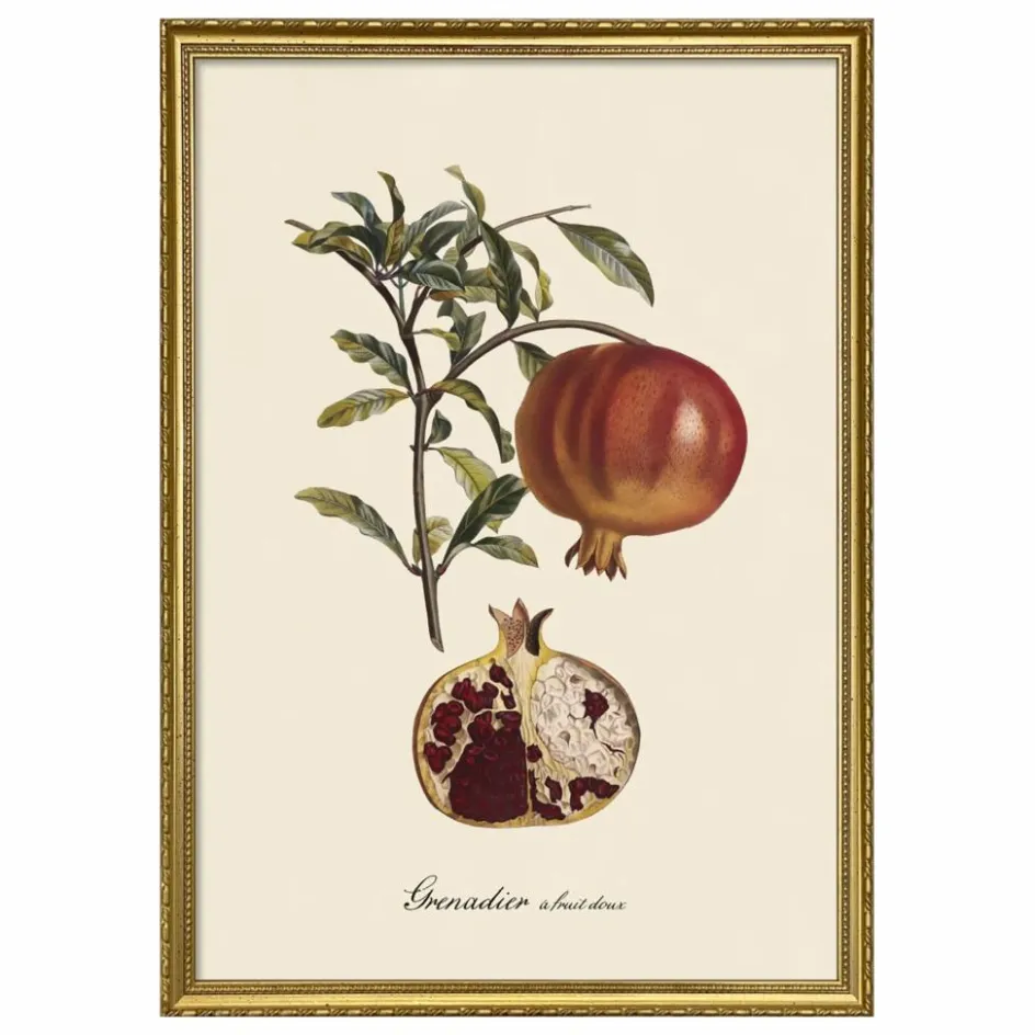 The Dybdahl Co. Déco Murale, Papier Peint*Affiche Grenadier à Fruit Doux