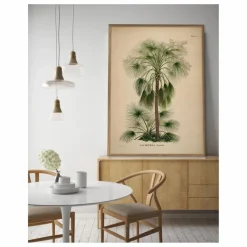 Clearance The Dybdahl Co. Affiche Livistona Humilis Multicolore