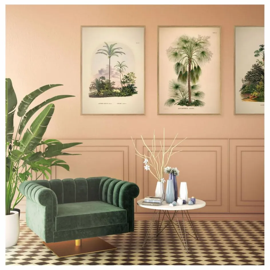 Clearance The Dybdahl Co. Affiche Livistona Humilis Multicolore