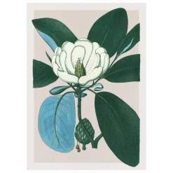 The Dybdahl Co. Déco Murale, Papier Peint*Affiche Magnolia Glauca