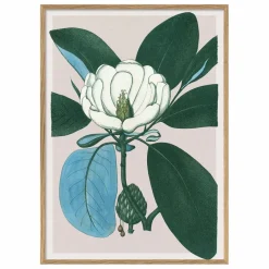 The Dybdahl Co. Déco Murale, Papier Peint*Affiche Magnolia Glauca