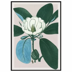 The Dybdahl Co. Déco Murale, Papier Peint*Affiche Magnolia Glauca