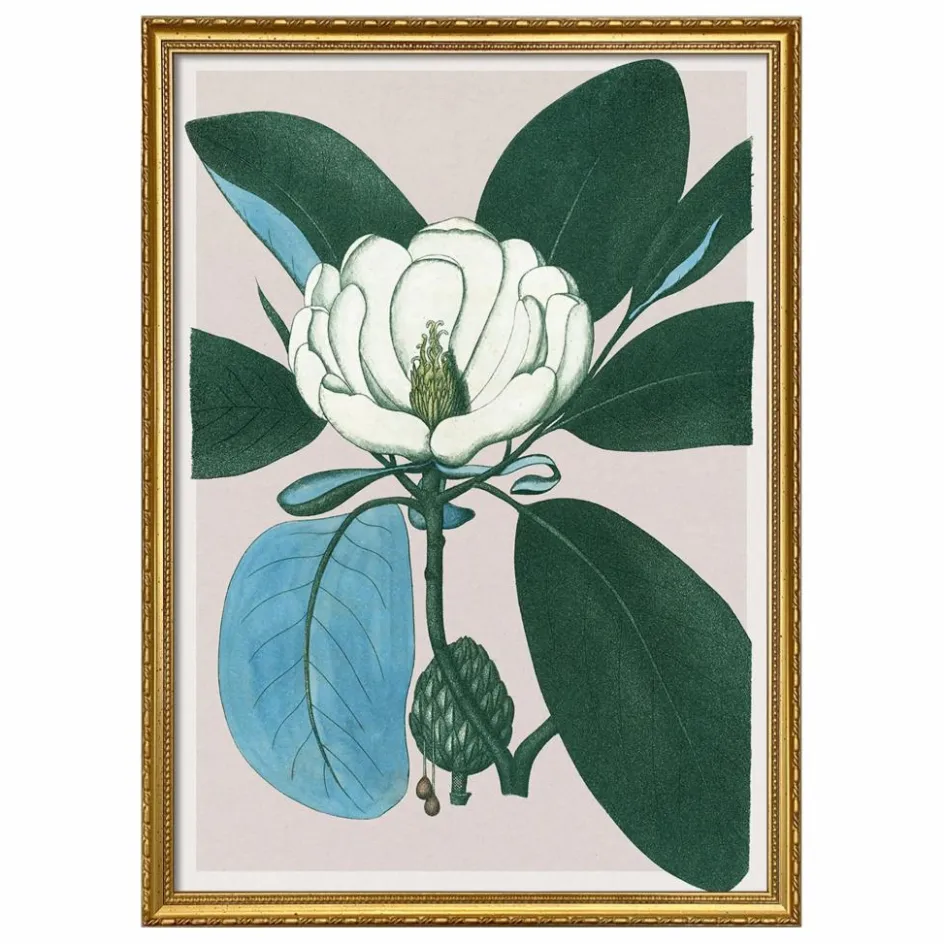 The Dybdahl Co. Déco Murale, Papier Peint*Affiche Magnolia Glauca