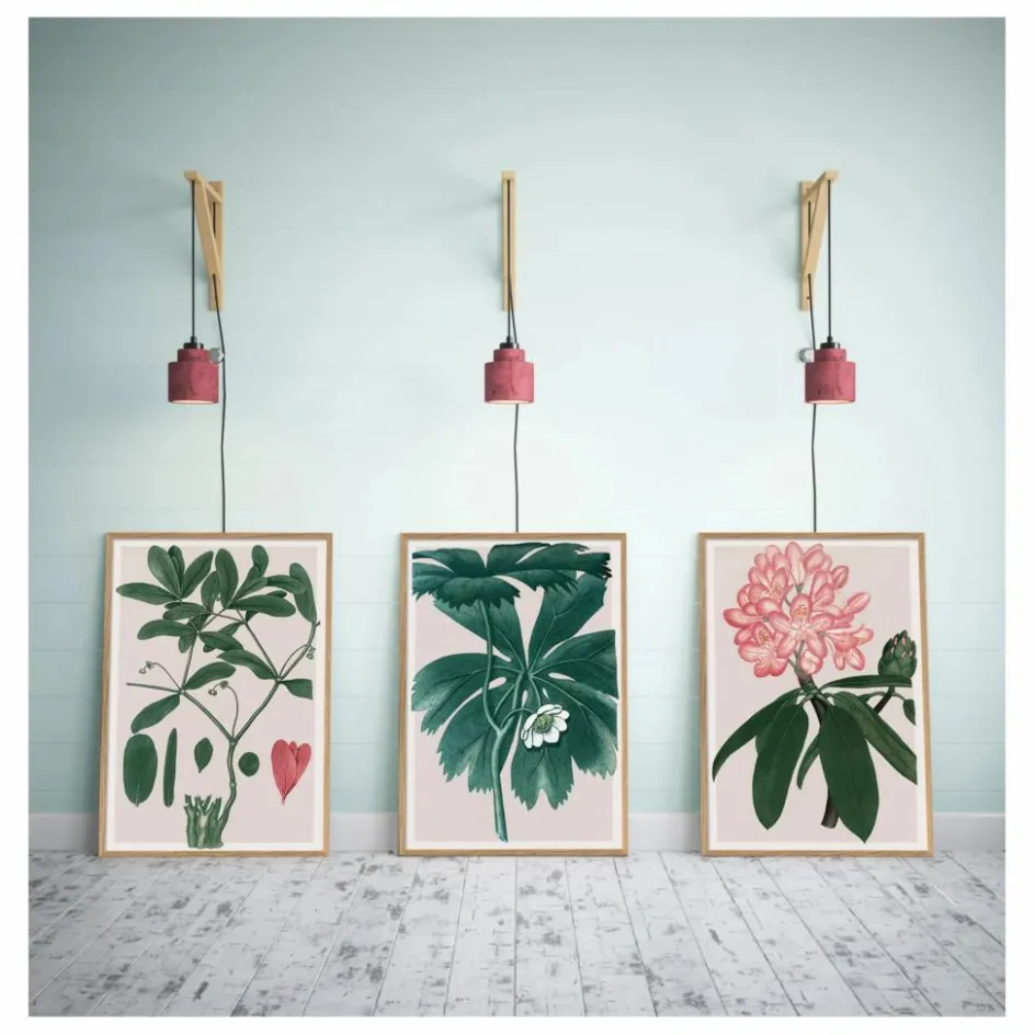 Online Affiche Rhododendrum Maximum Déco Murale, Papier Peint