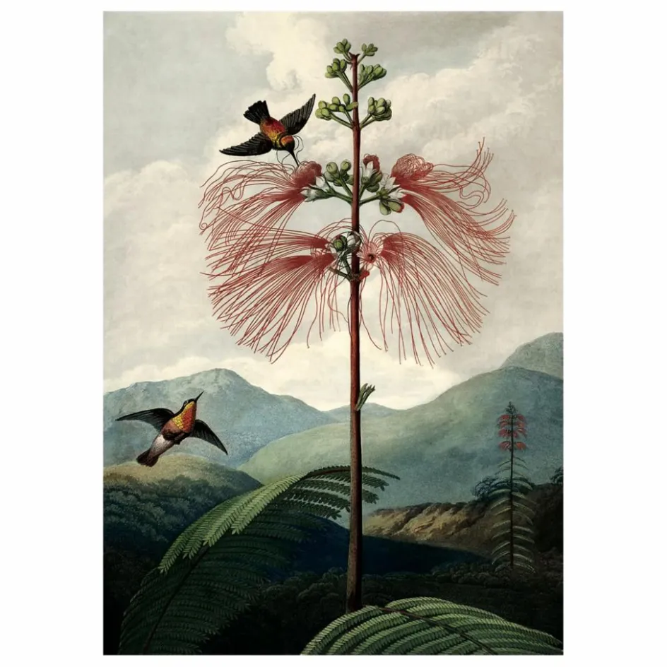 Online Affiche The Tree of Flowers Déco Murale, Papier Peint