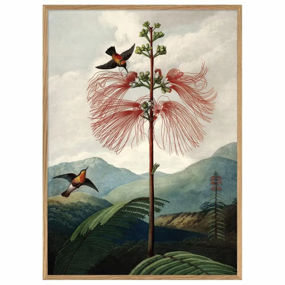 Online Affiche The Tree of Flowers Déco Murale, Papier Peint