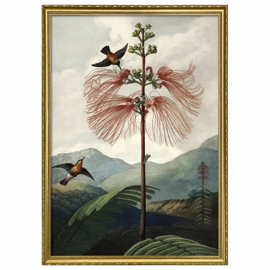 Online Affiche The Tree of Flowers Déco Murale, Papier Peint