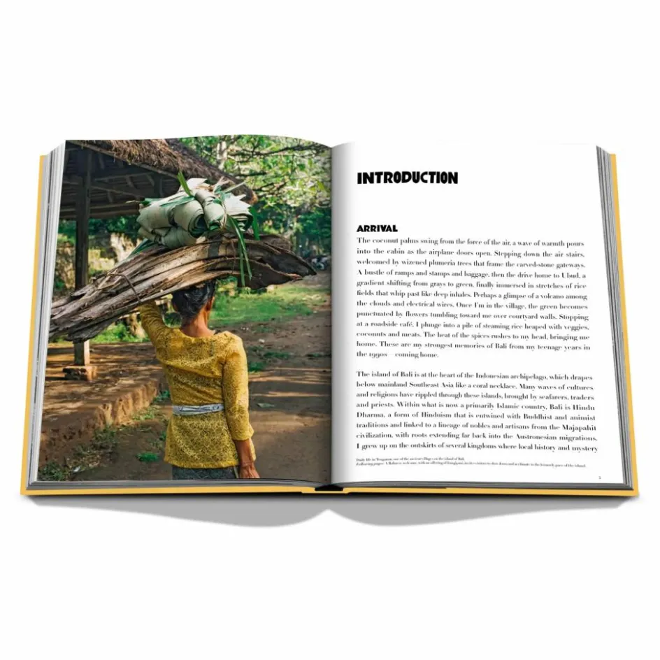 Homme Assouline Livres|Livres, Jeux*Bali Mystique