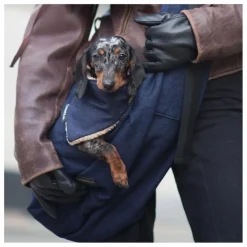 Outlet Caramel & Cie Bandana Denim Chien | Bleu