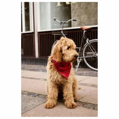 Hay Bandana pour chien | Rouge