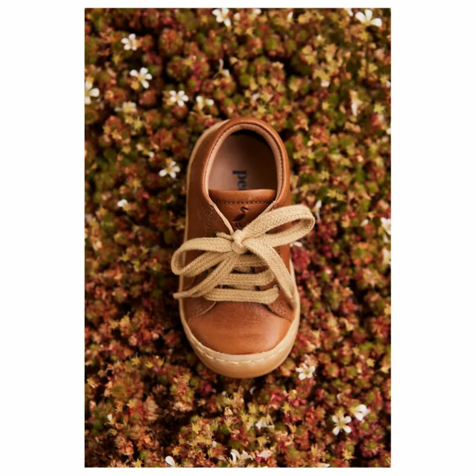 Petit Nord Baskets Lacets Everyday || Baskets|Chaussons Et Premiers Pas
