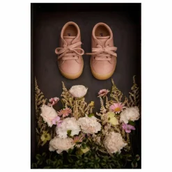 Petit Nord Baskets*Baskets Lacets Everyday |