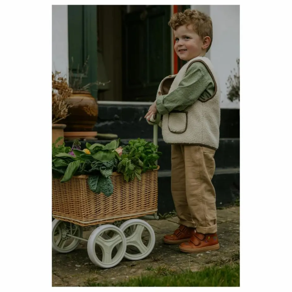Petit Nord Baskets Scratchs Fall Harvest - Collection Uniqua ||Enfant Baskets