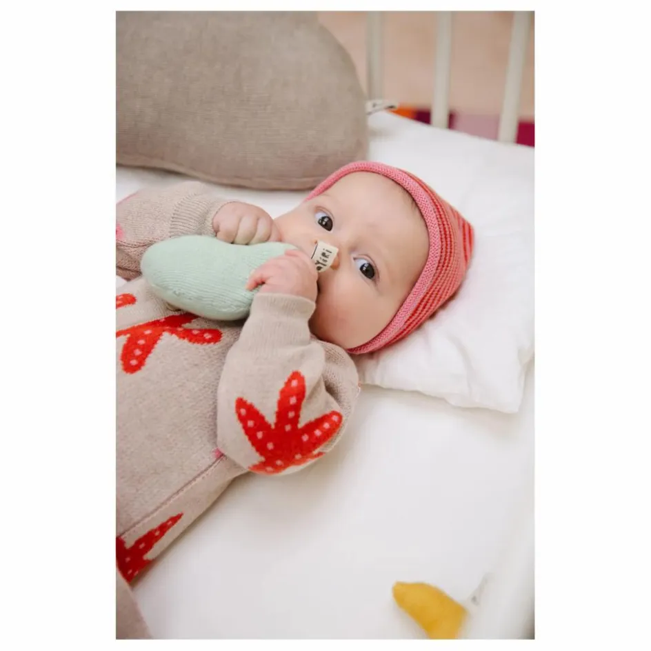 Sale Bayiri Beguin Snail Coton Bio | Rose