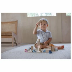 Plan Toys Blocs de construction Tendresse Multicolore