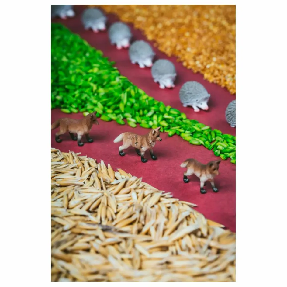Petit Boum Bouteille sensorielle Forêt| Jouets D'Éveil|Jouets D'Éveil