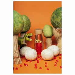 Petit Boum Jeux Éducatifs*Bouteille sensorielle T-Rex |
