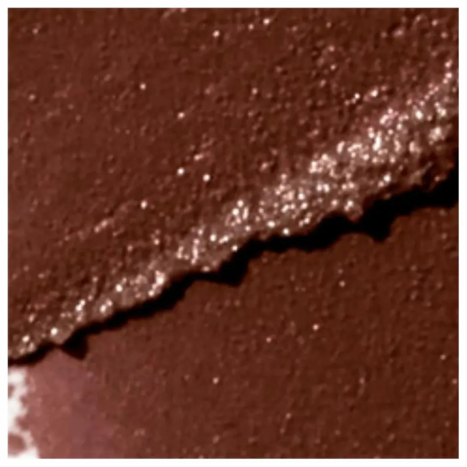 Femme Rose Inc Maquillage*Bronzer crème soft-focus Solar Infusion |