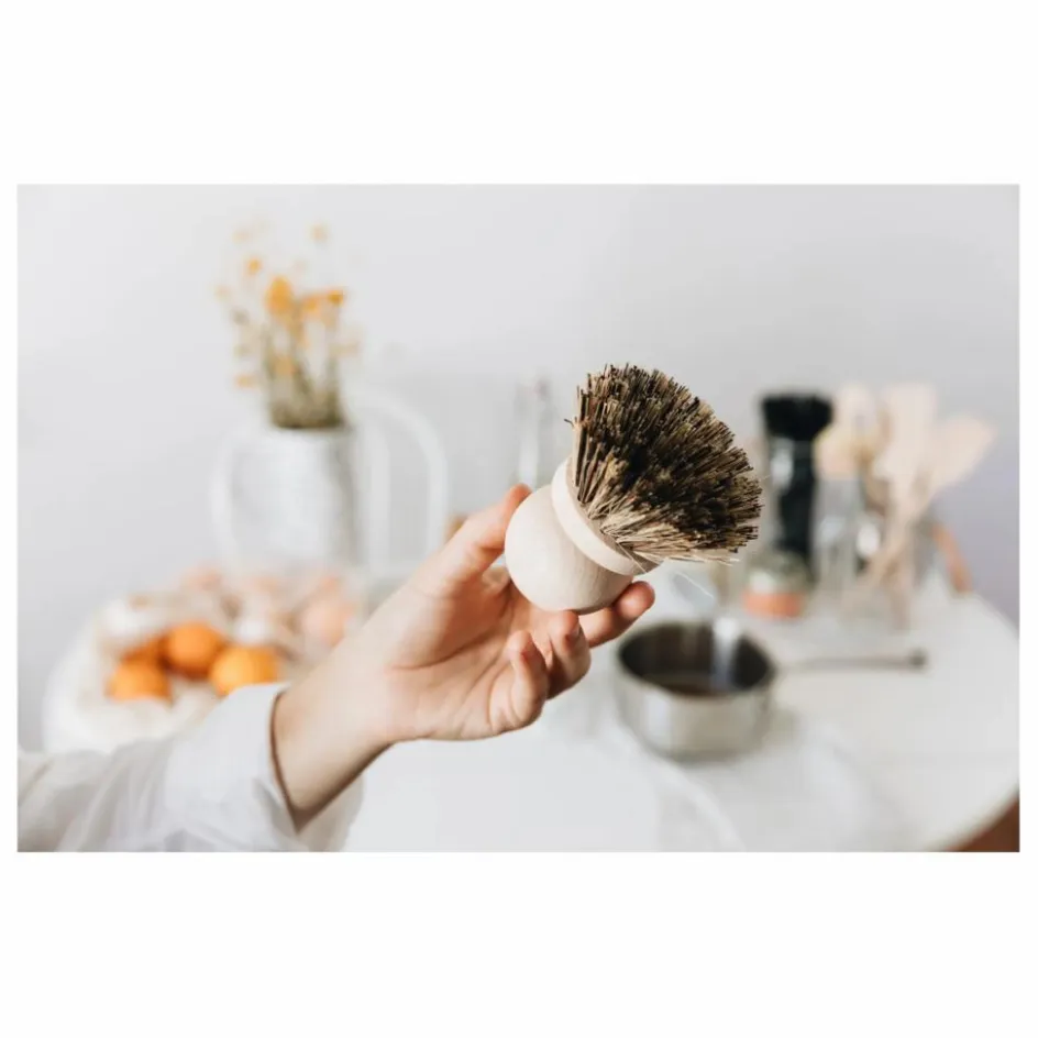 Andrée Jardin Nettoyage Et Entretien*Brosse casserole