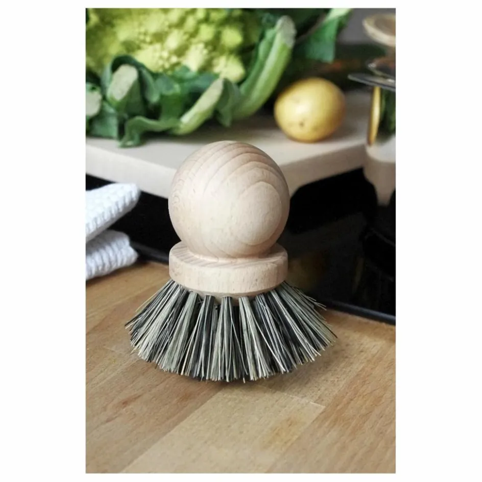 Andrée Jardin Nettoyage Et Entretien*Brosse casserole