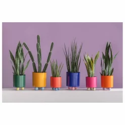 Present Time Vases, Objets Déco*Cache-pot Double Funky |