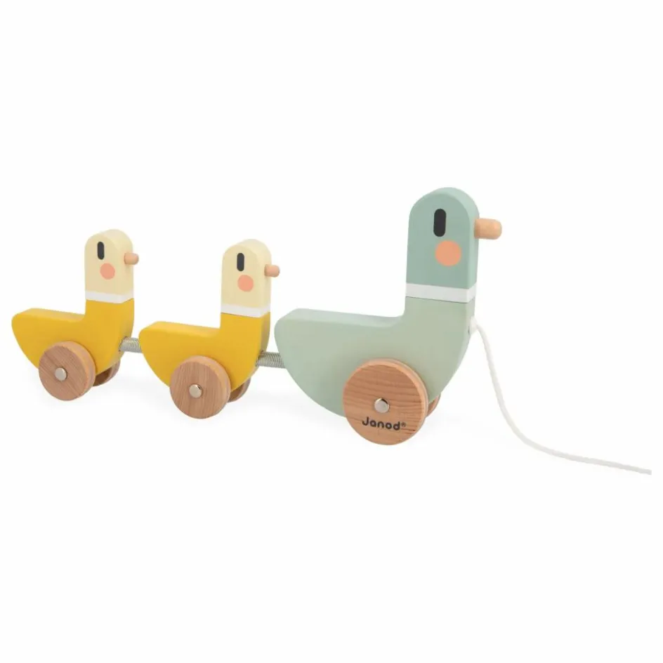 Janod Jouets D'Éveil*Canards à Tirer