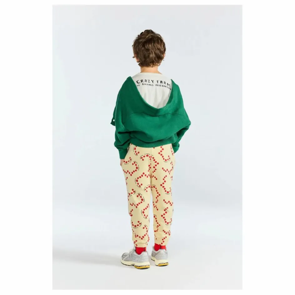 Enfant The Animals Observatory Pulls, Gilets|Pulls, Gilets*Cardigan Racoon Coton Bio |