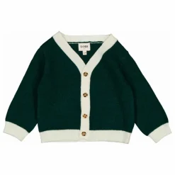 Enfant Loir Pulls, Gilets|Pulls, Gilets*Cardigan Vassili Laine |