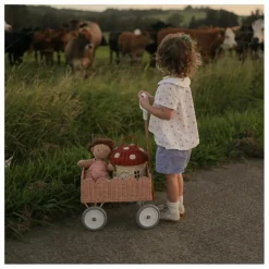Enfant Olli Ella Rangements|Patères, Paniers Enfant*Chariot en rotin Petal |