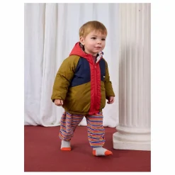 Bobo Choses Chaussettes Chiens Coton Bio | Gris chiné