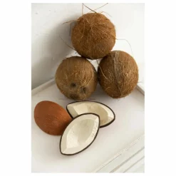 Outlet Coco la noix de coco de dentition | Hochets Et Anneaux De Dentition|Puériculture
