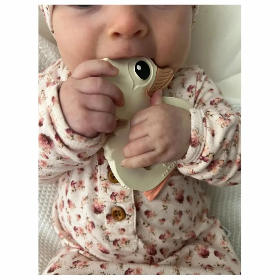 Hevea Hochets Et Anneaux De Dentition|Vaisselle, Tétines*Coffret apaisant - Set de 2 jouets de dentition |