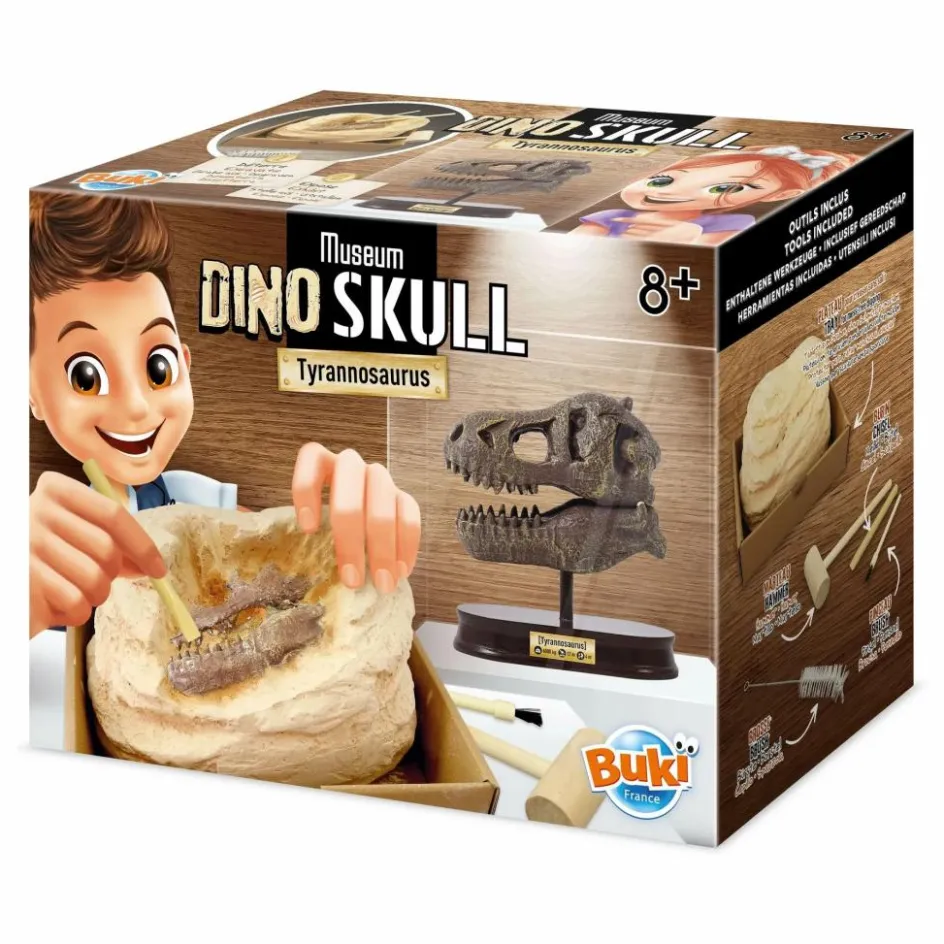 Outlet Buki Coffret d'archéologie - Museum Dino Skull Multicolore