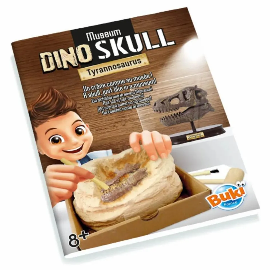 Outlet Buki Coffret d'archéologie - Museum Dino Skull Multicolore
