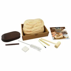 Outlet Buki Coffret d'archéologie - Museum Dino Skull Multicolore