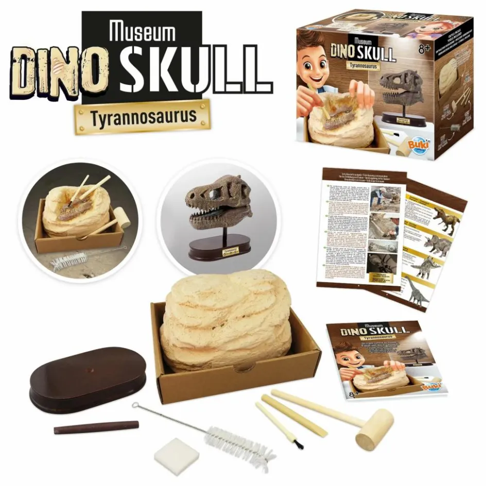 Outlet Buki Coffret d'archéologie - Museum Dino Skull Multicolore