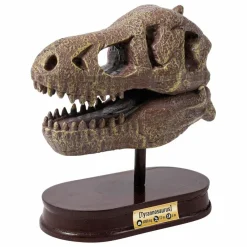 Outlet Buki Coffret d'archéologie - Museum Dino Skull Multicolore