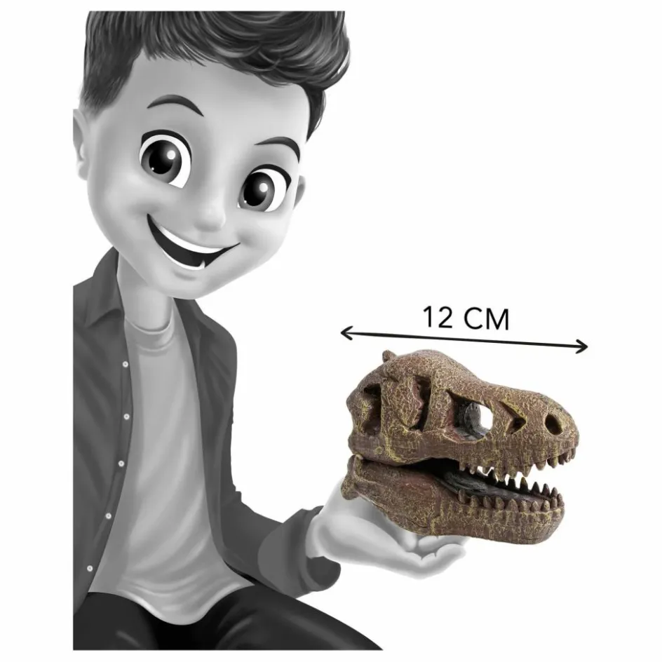 Outlet Buki Coffret d'archéologie - Museum Dino Skull Multicolore