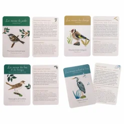 Moulin Roty Coffret découverte des oiseaux| Jeux Éducatifs