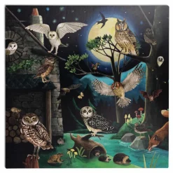 Moulin Roty Coffret découverte des oiseaux| Jeux Éducatifs