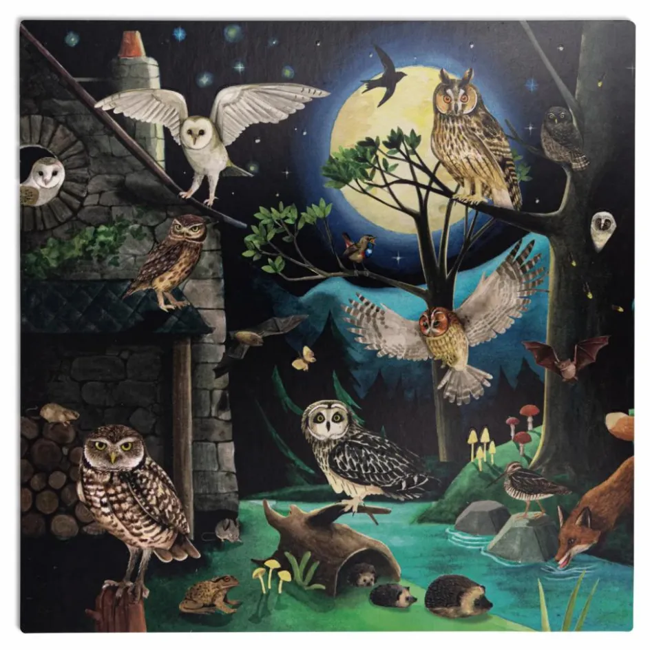 Moulin Roty Coffret découverte des oiseaux| Jeux Éducatifs