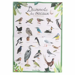 Moulin Roty Coffret découverte des oiseaux| Jeux Éducatifs