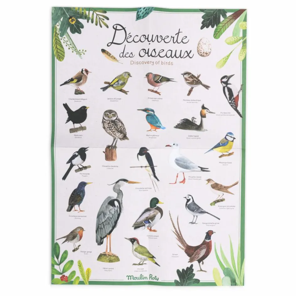 Moulin Roty Coffret découverte des oiseaux| Jeux Éducatifs